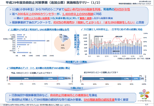 SNS Report